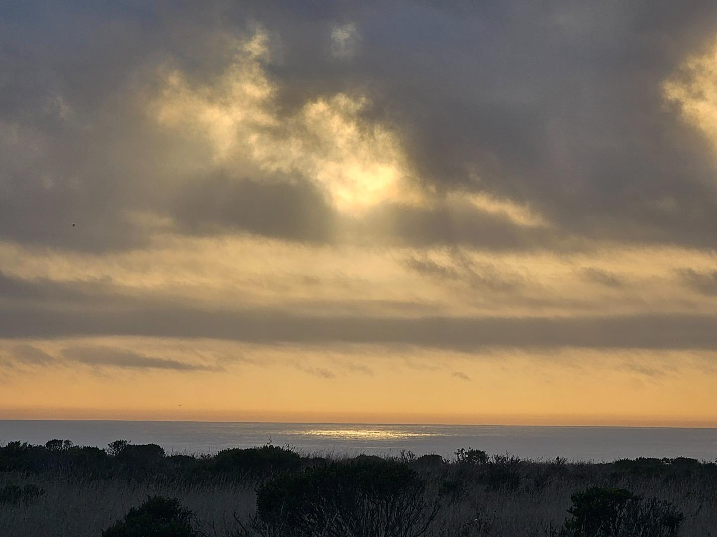 Front Image Thumbnail for ML82025917