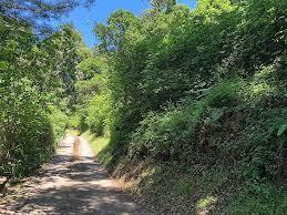 Front Image Thumbnail for ML82027408