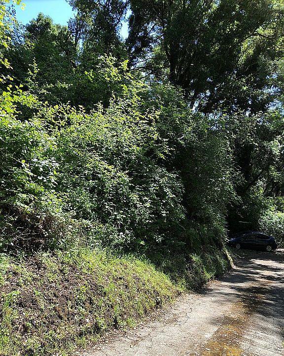 Front Image Thumbnail for ML82027412