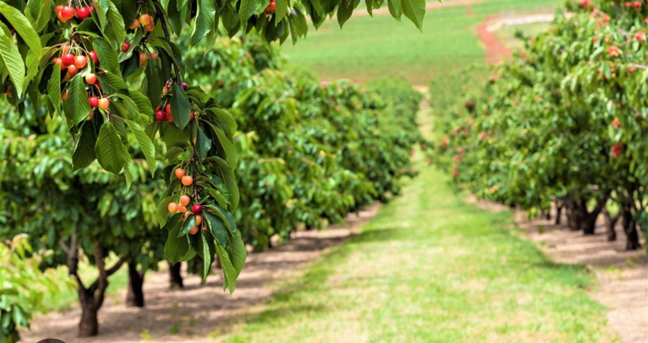 Front Image Thumbnail for ML82027414