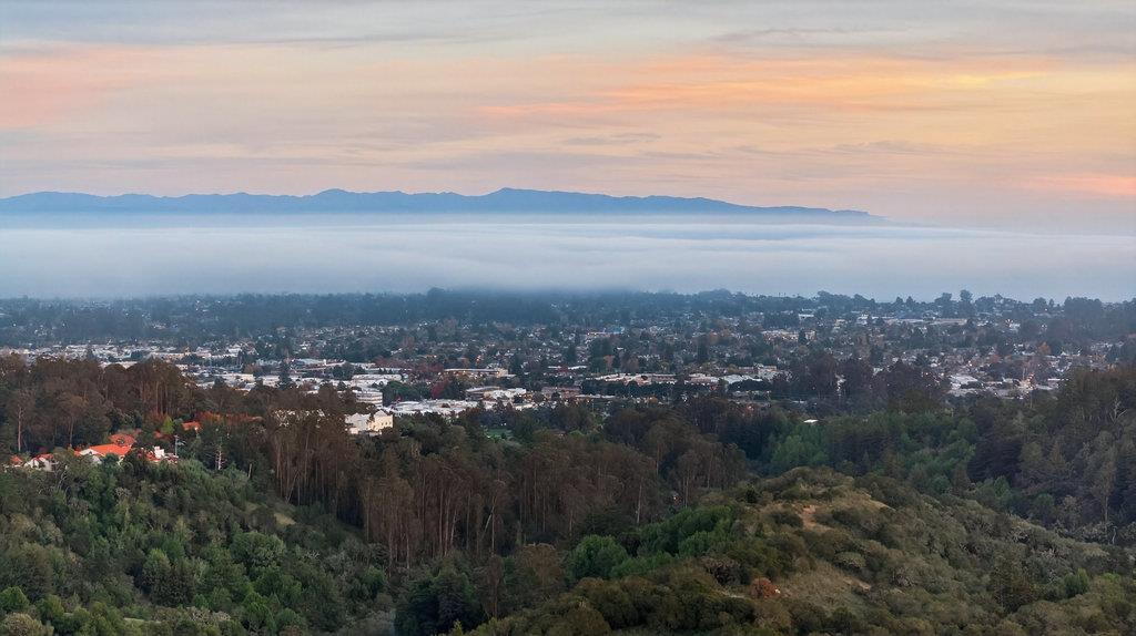 Front Image Thumbnail for ML82027818