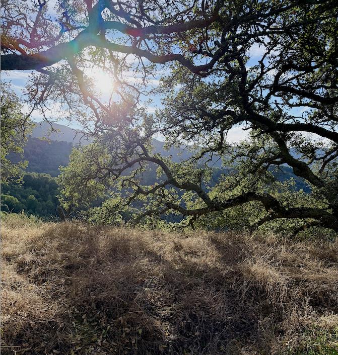 Front Image Thumbnail for ML82028048