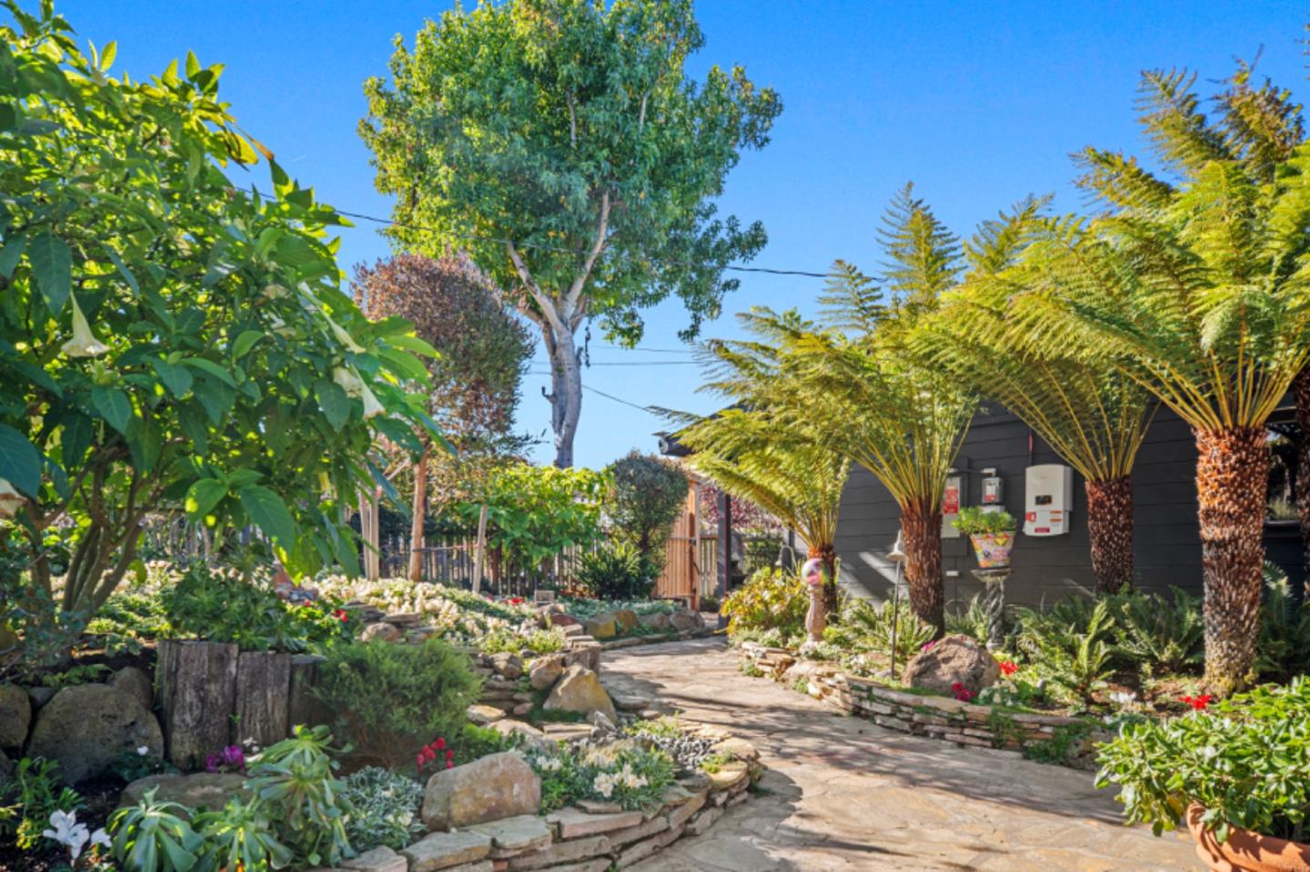 Front Image Thumbnail for ML82028179