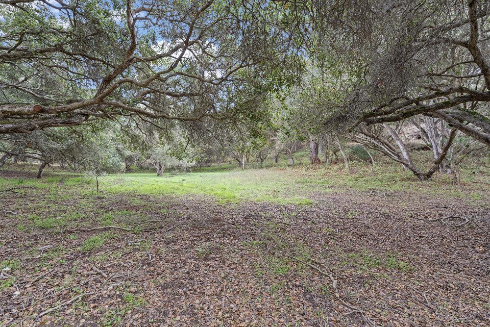 Front Image Thumbnail for ML82028256