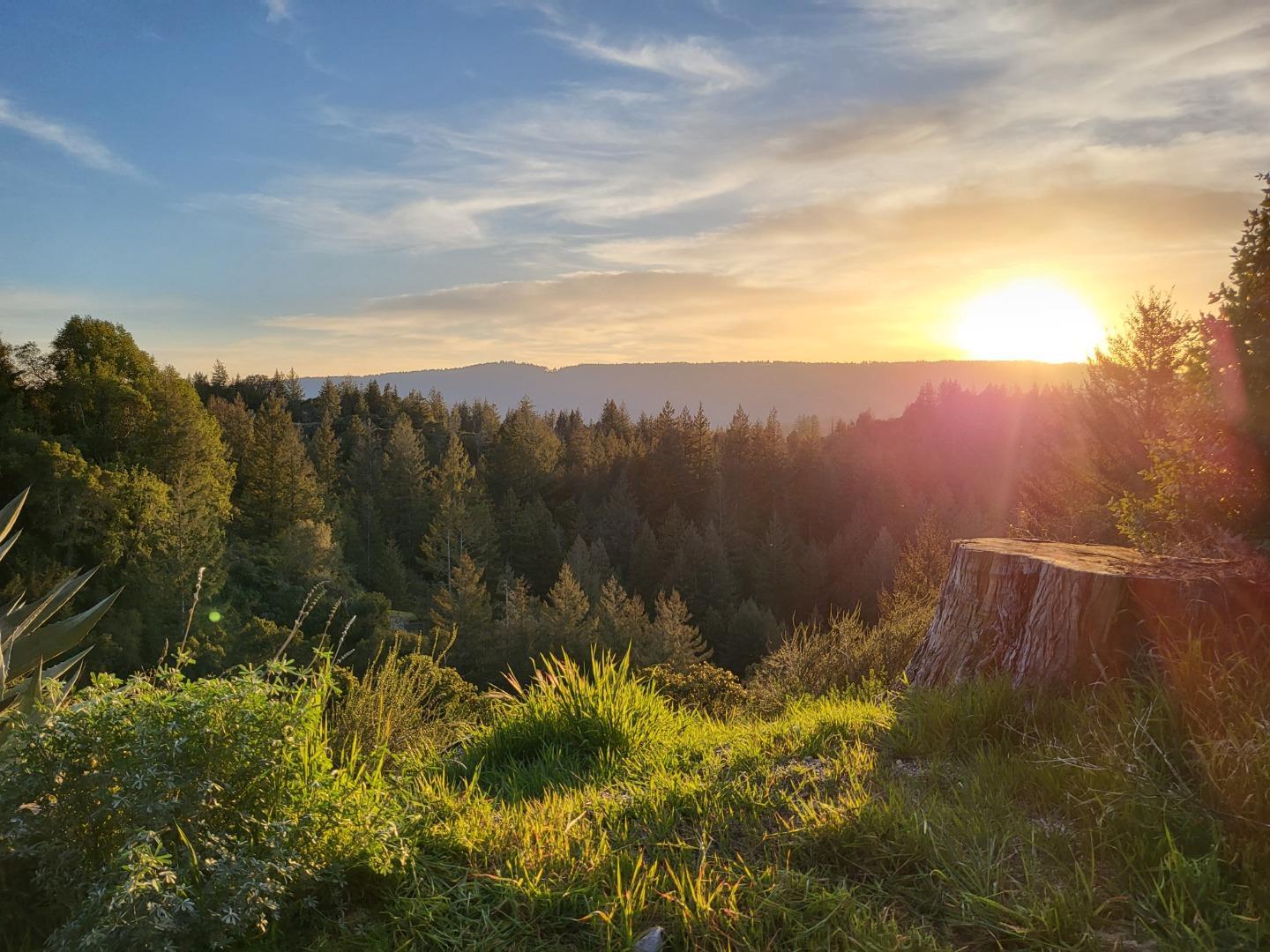 Front Image Thumbnail for ML82028532