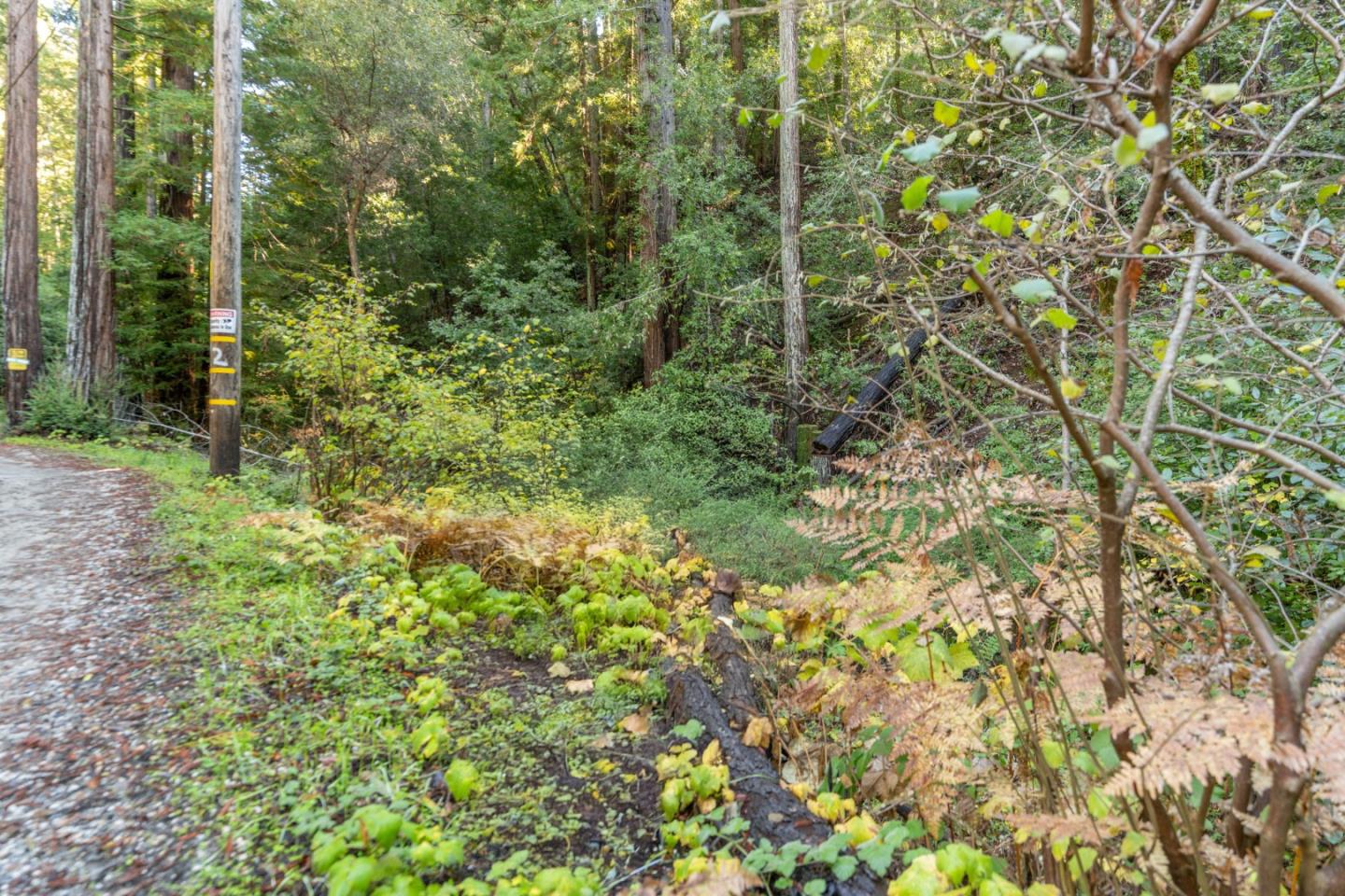 Front Image Thumbnail for ML82028715