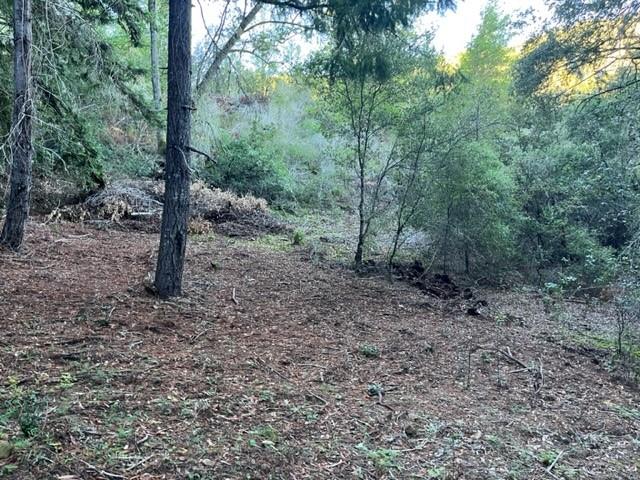 Front Image Thumbnail for ML82028904