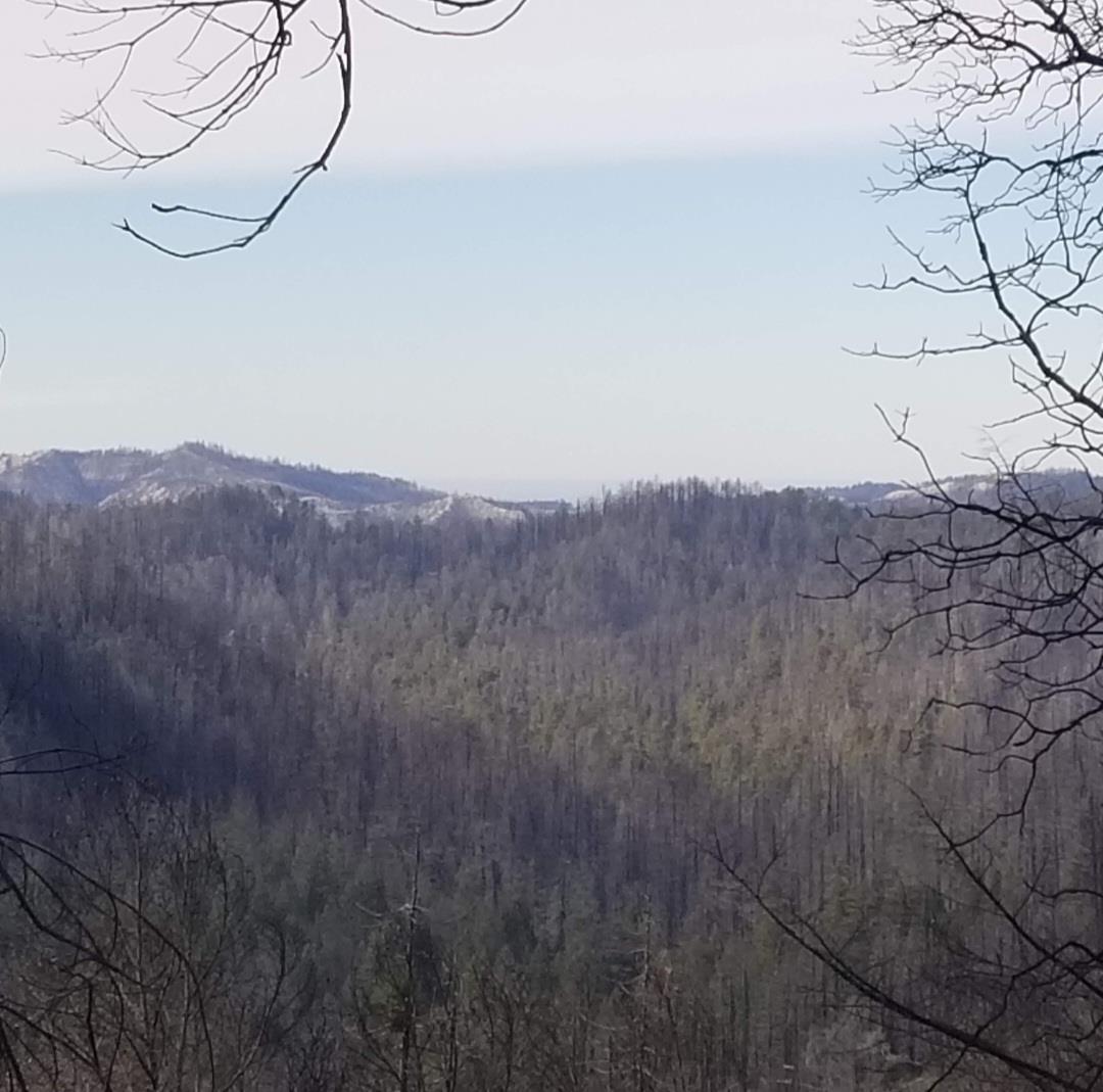 Front Image Thumbnail for ML82029139