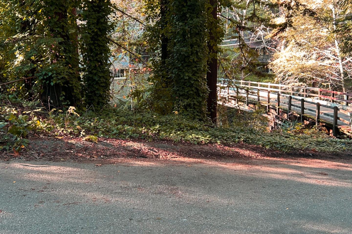 Front Image Thumbnail for ML82029398