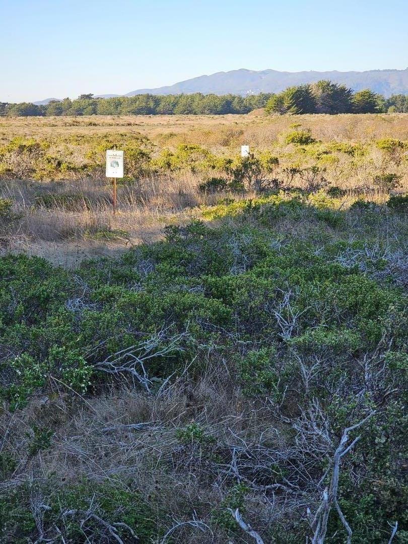 Front Image Thumbnail for ML82029448