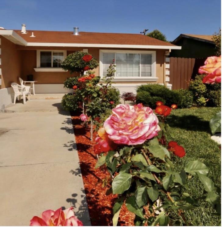 Front Image Thumbnail for ML82029846