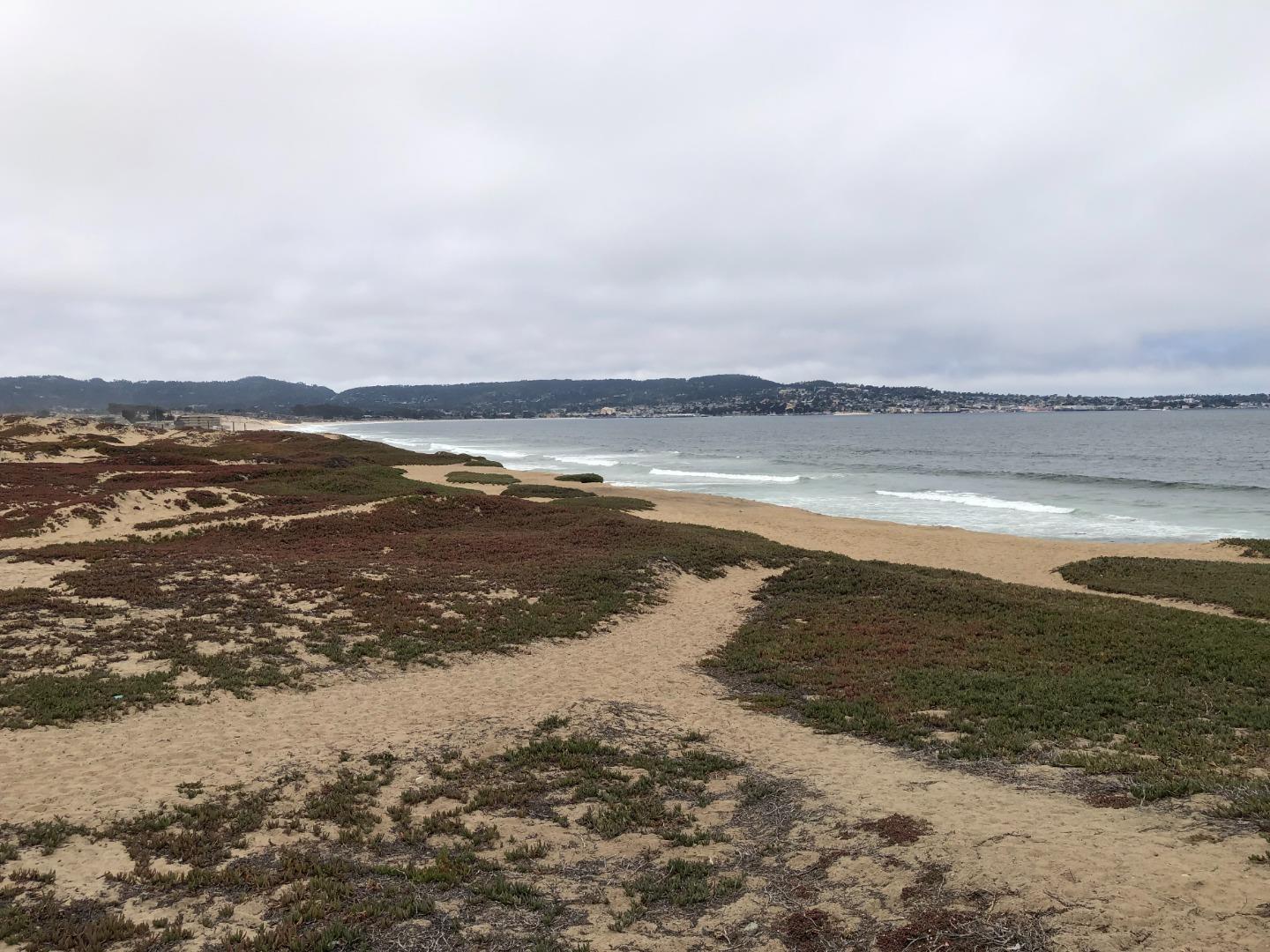 Front Image Thumbnail for ML82030096