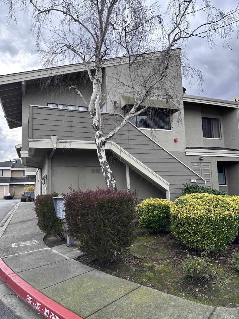 Front Image Thumbnail for ML82030104