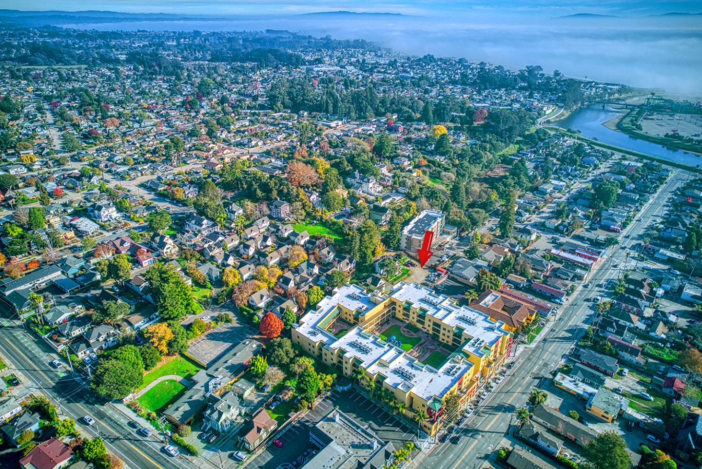 Front Image Thumbnail for ML82030410