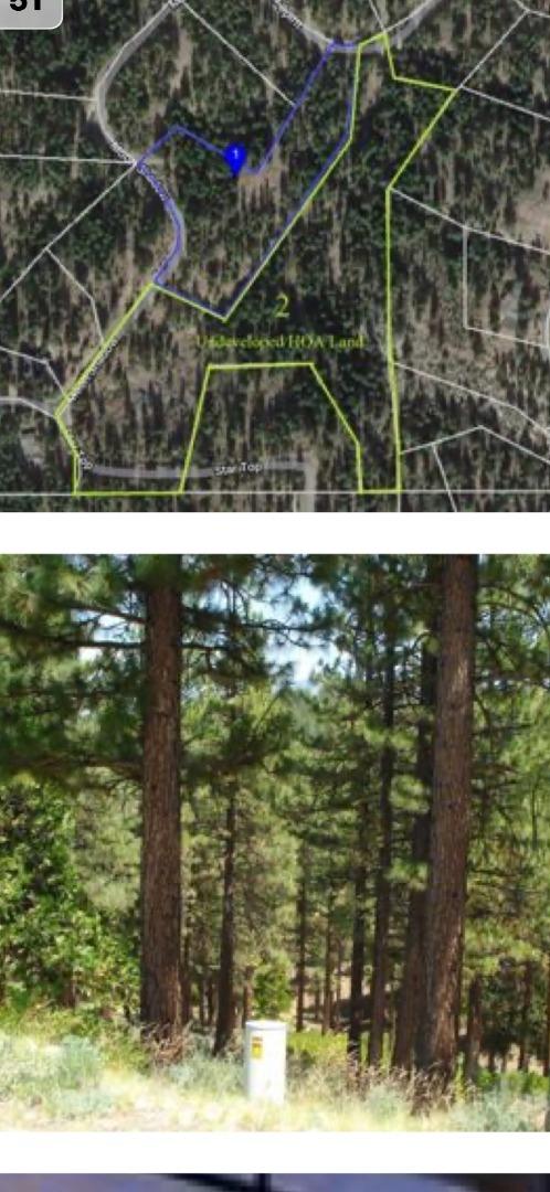 Front Image Thumbnail for ML82030524