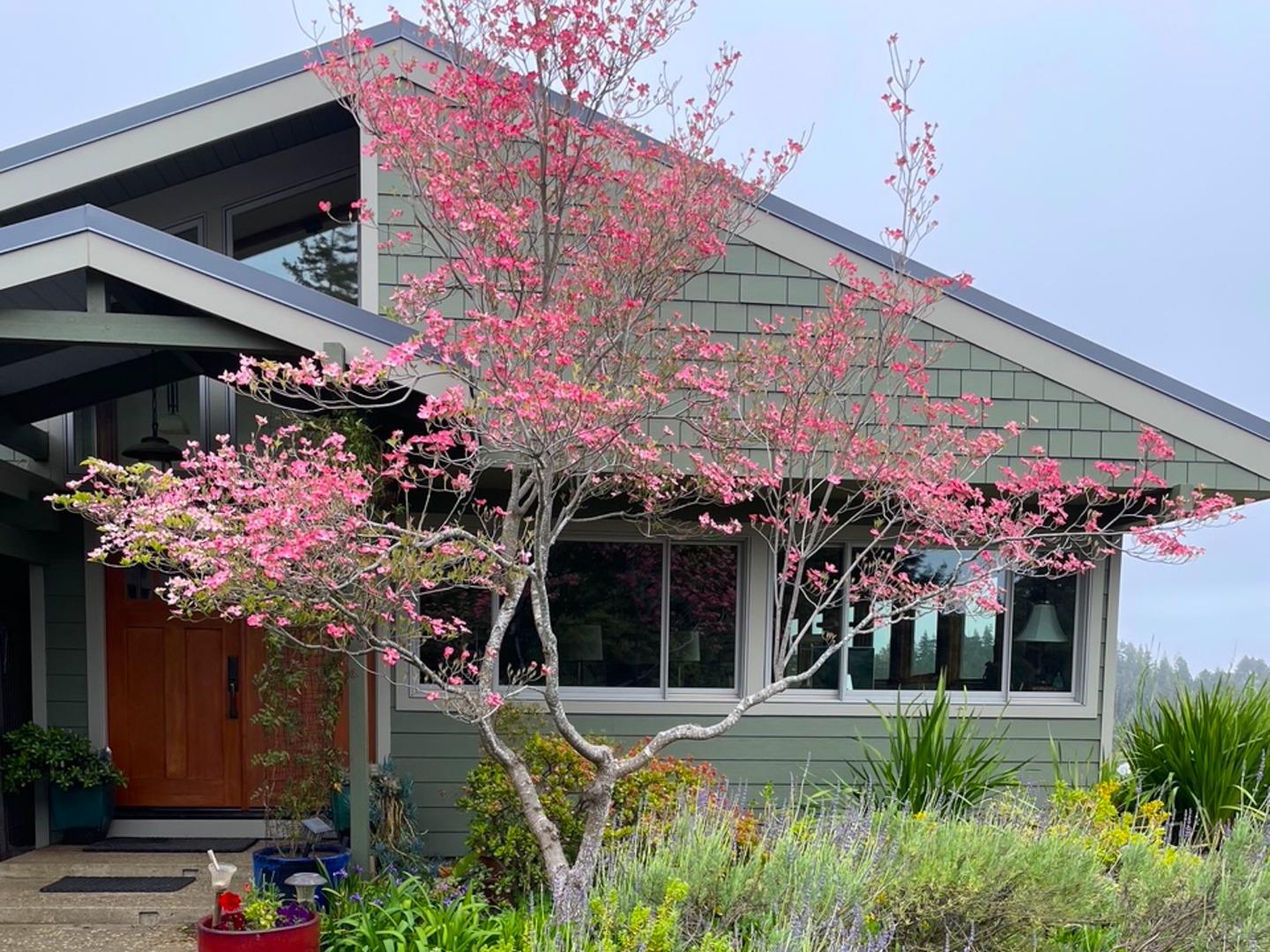 Front Image Thumbnail for ML82030844