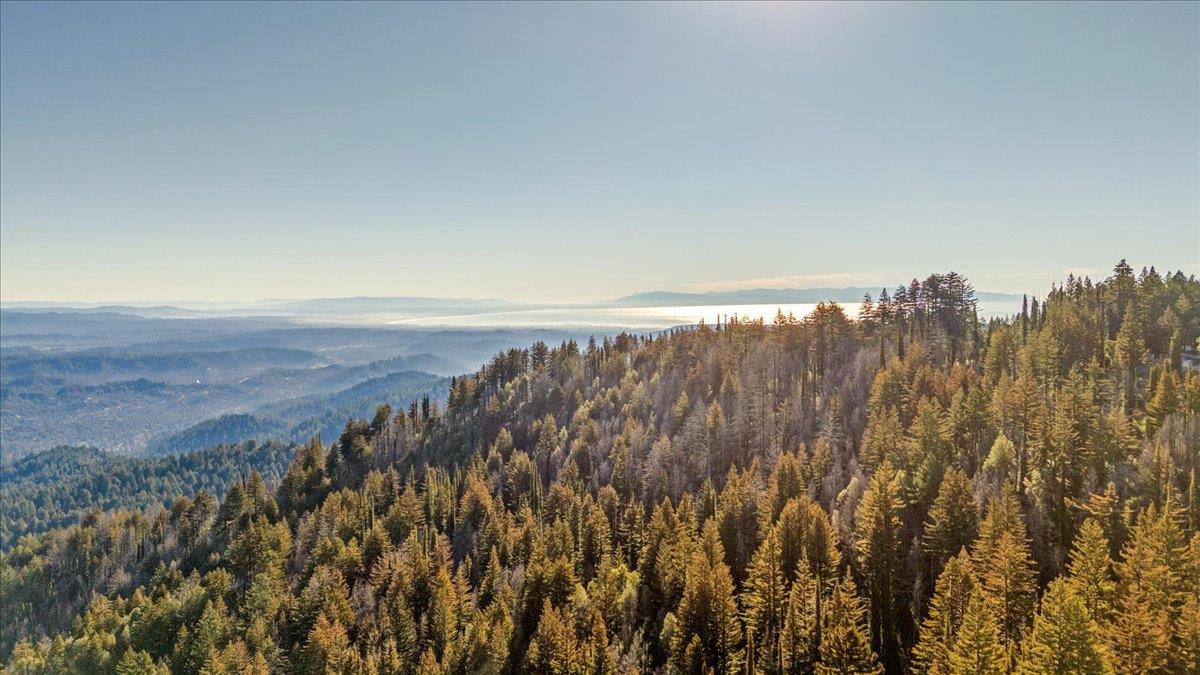 Front Image Thumbnail for ML82031014