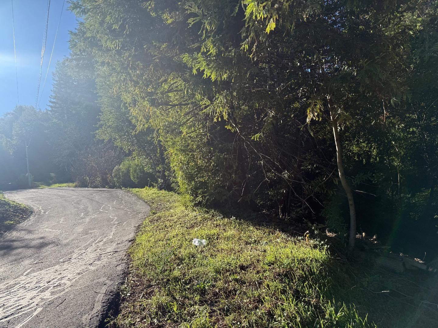 Front Image Thumbnail for ML82031054