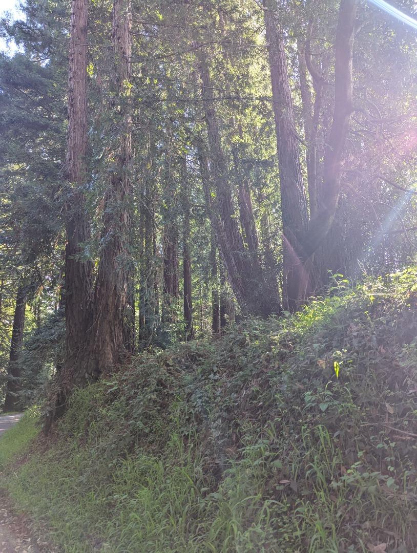 Front Image Thumbnail for ML82031439