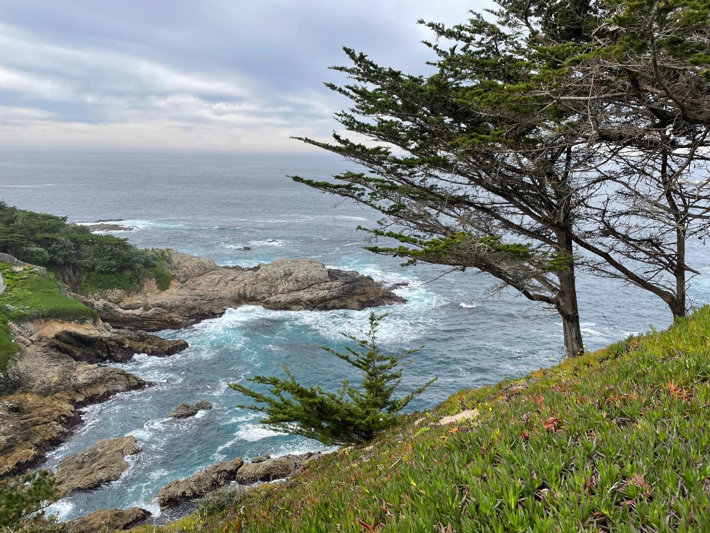 Front Image Thumbnail for ML82031879