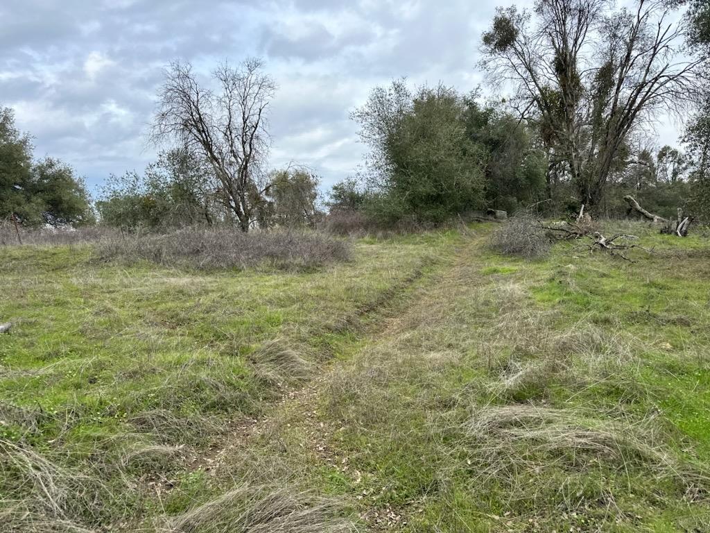 Front Image Thumbnail for ML82032186