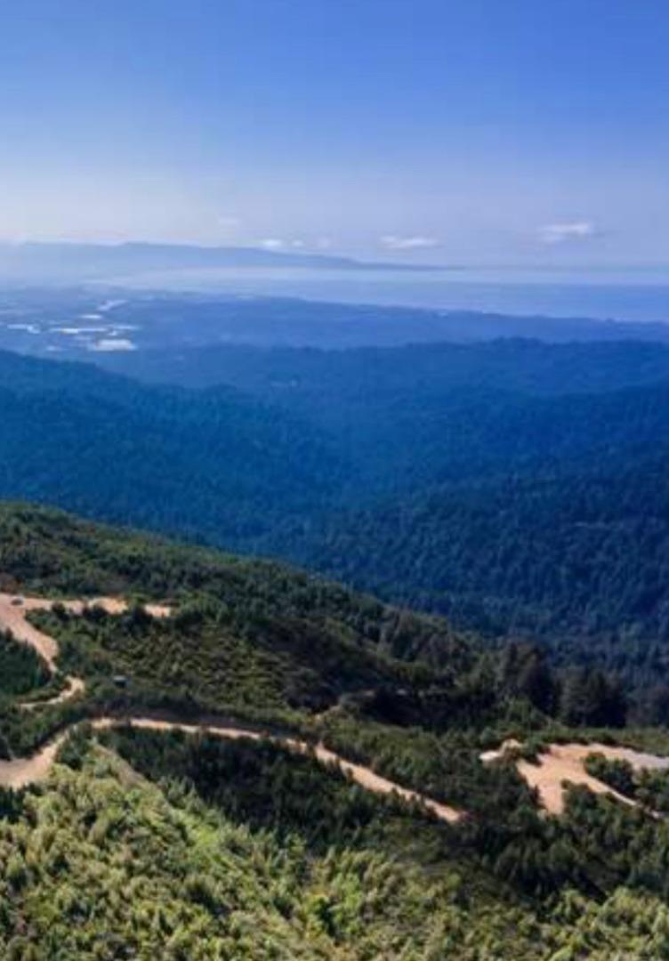 Front Image Thumbnail for ML82032562