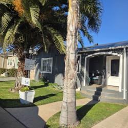 Front Image Thumbnail for ML82032590