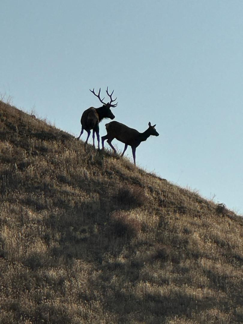 Front Image Thumbnail for ML82032657