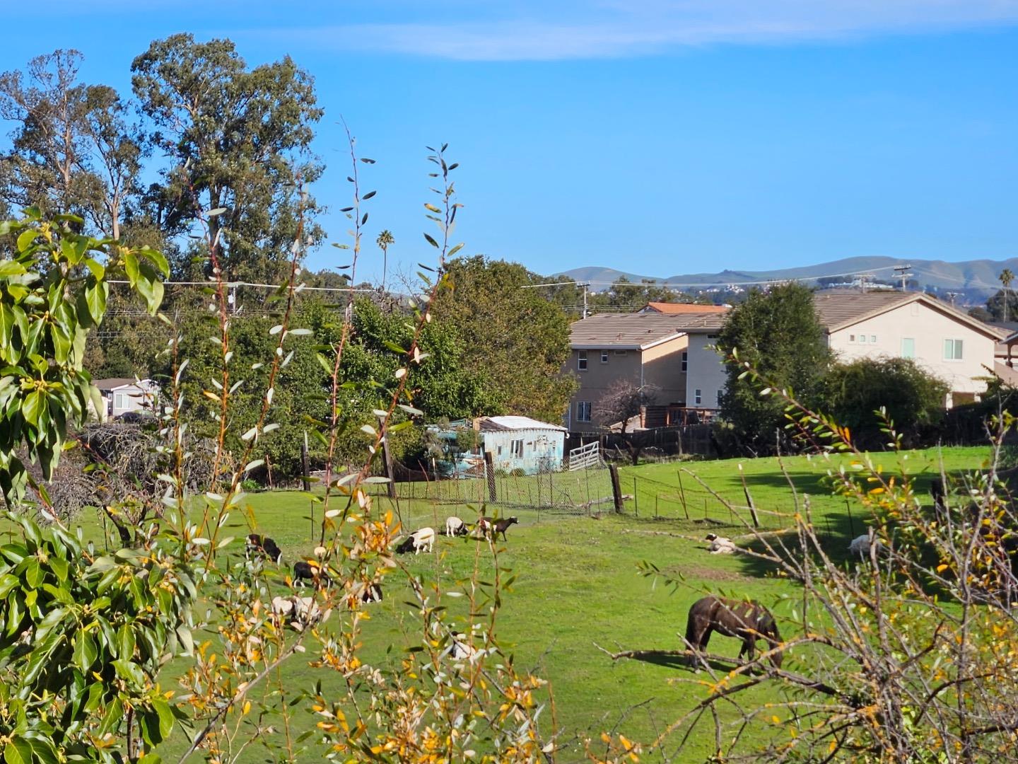 Front Image Thumbnail for ML82032730