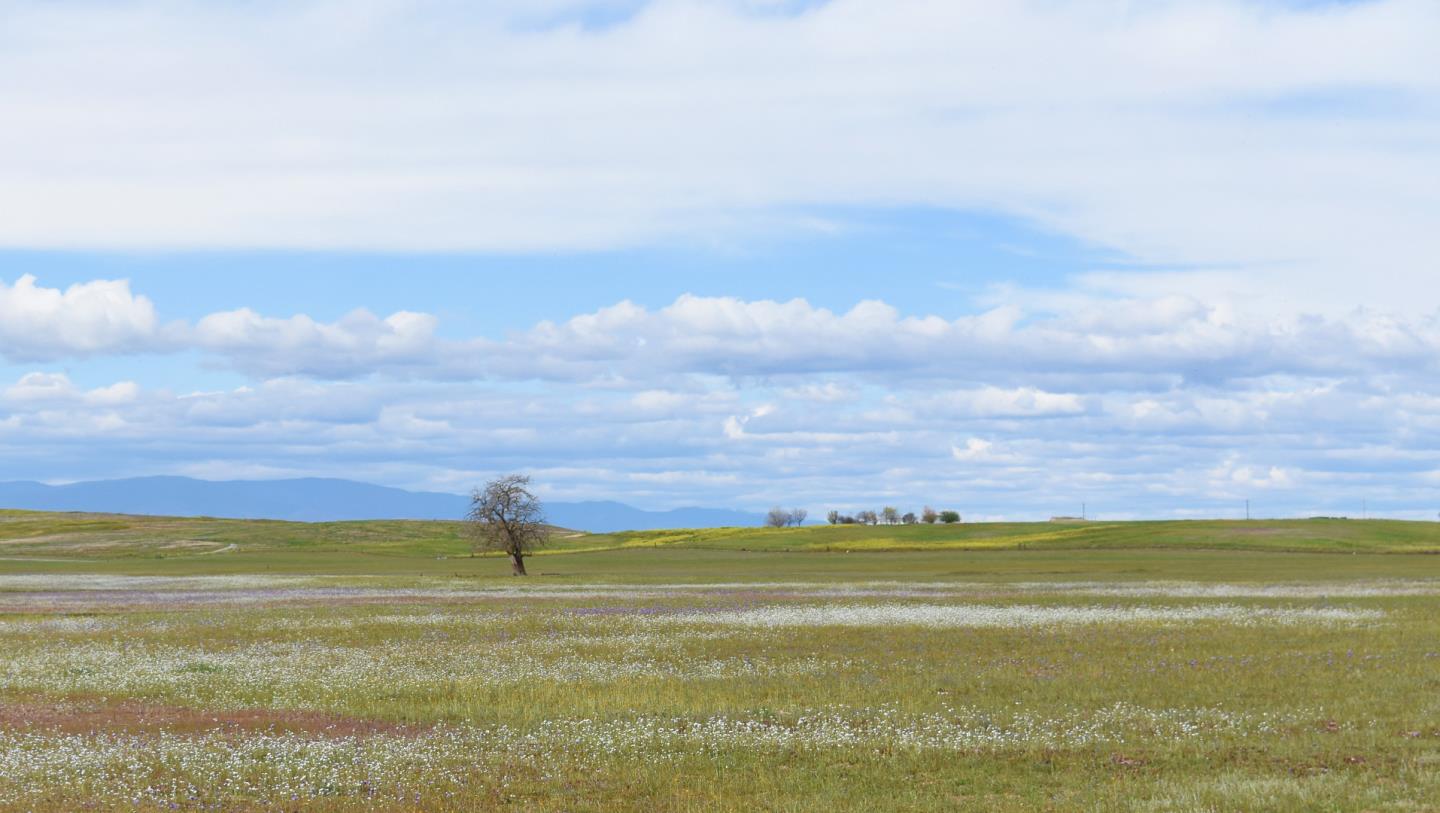 Front Image Thumbnail for ML82032965