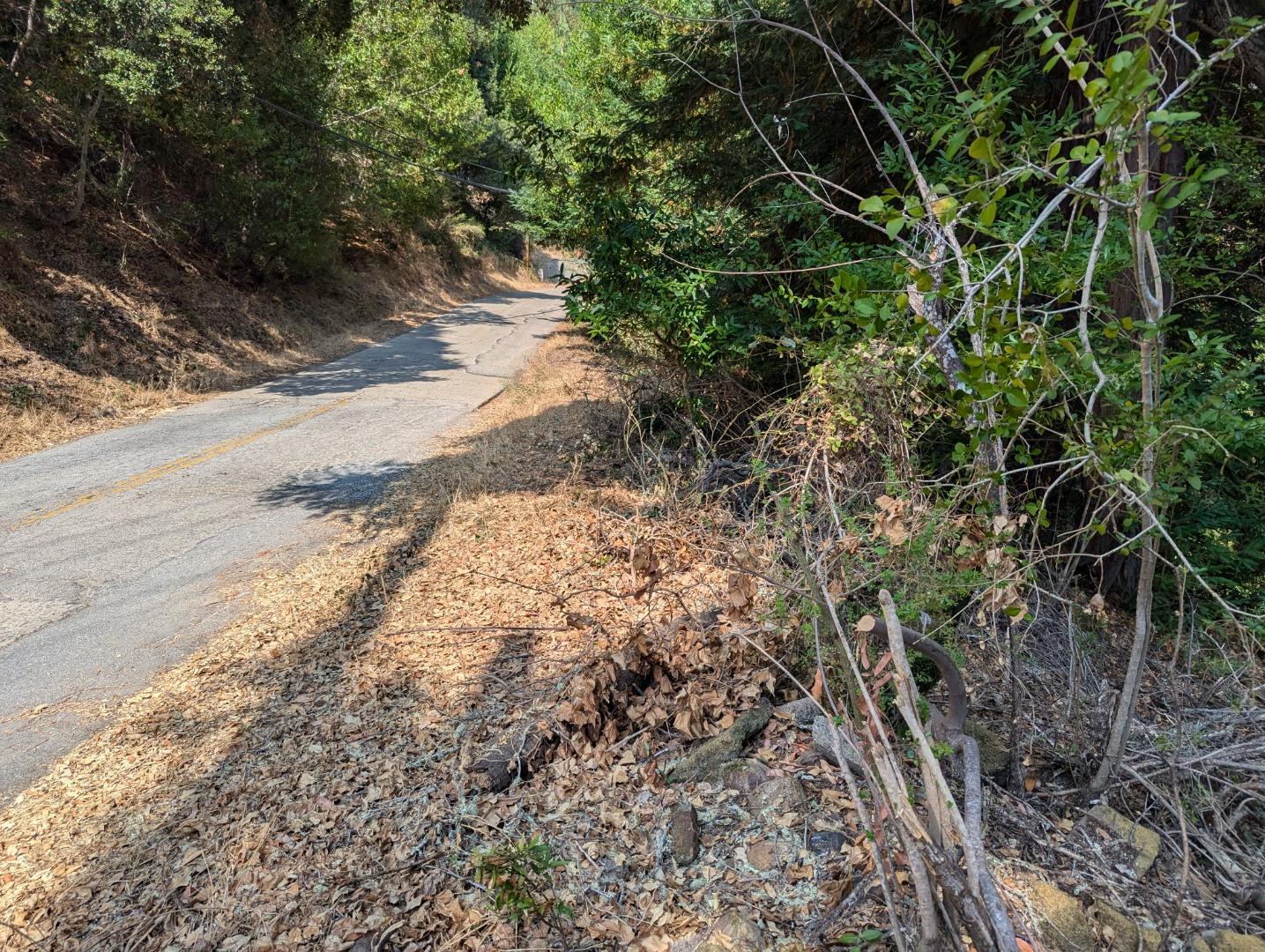 Front Image Thumbnail for ML82033566