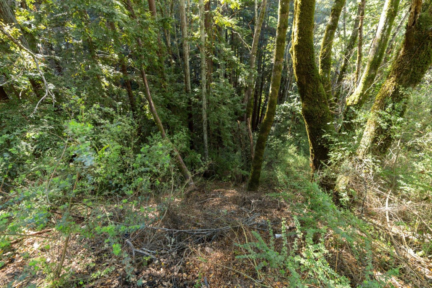 Front Image Thumbnail for ML82034572