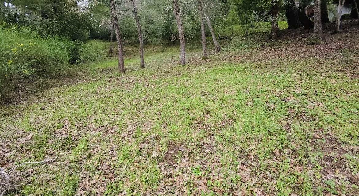 Front Image Thumbnail for ML82034770