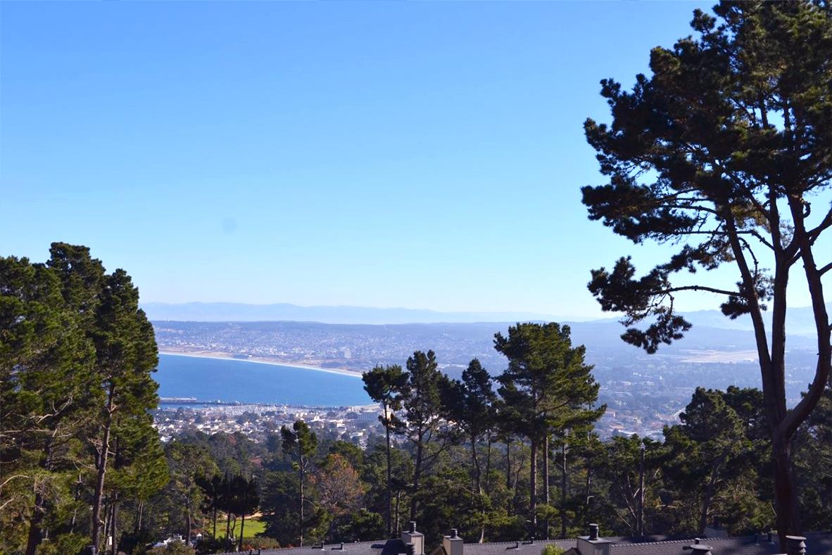 Front Image Thumbnail for ML82035566