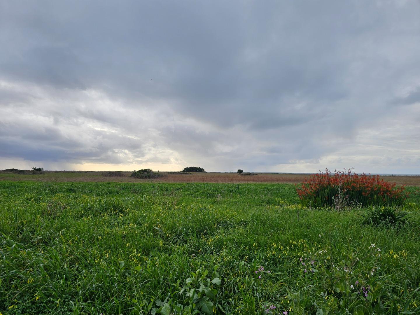 Front Image Thumbnail for ML82035704