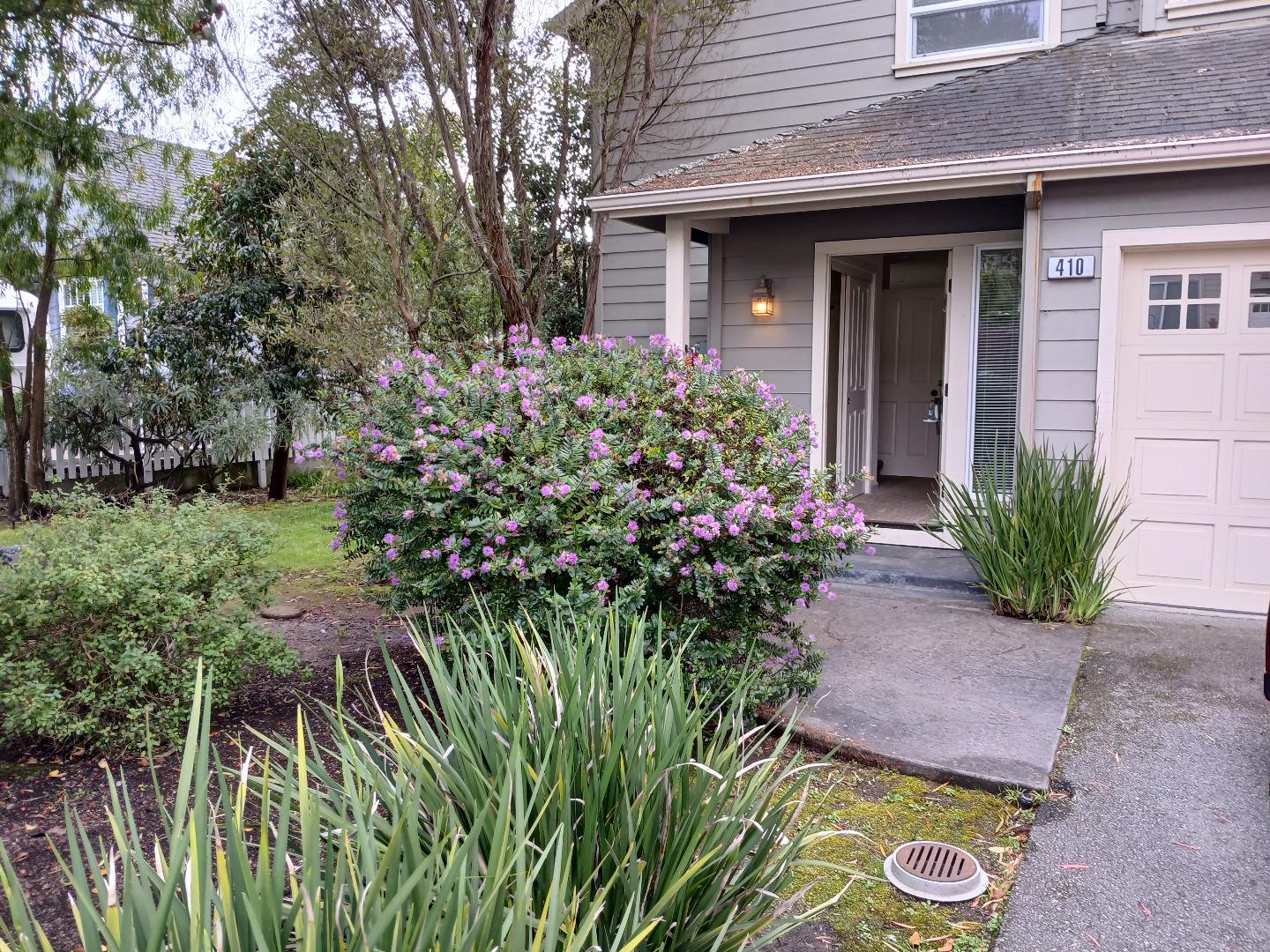 Front Image Thumbnail for ML82037570