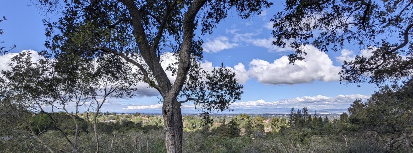 Front Image Thumbnail for ML82038313