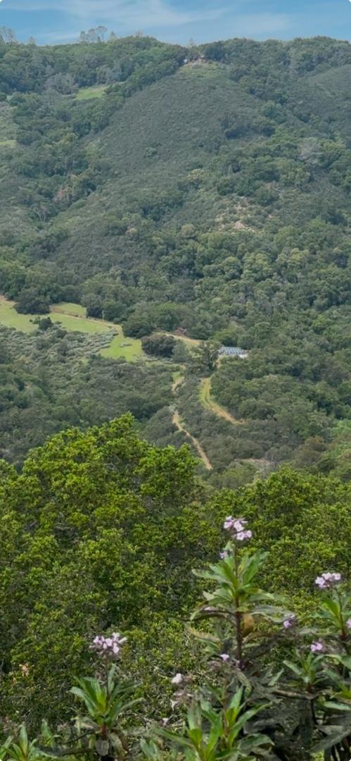 Front Image Thumbnail for ML82039509