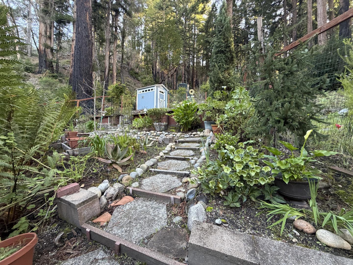 Front Image Thumbnail for ML82039769