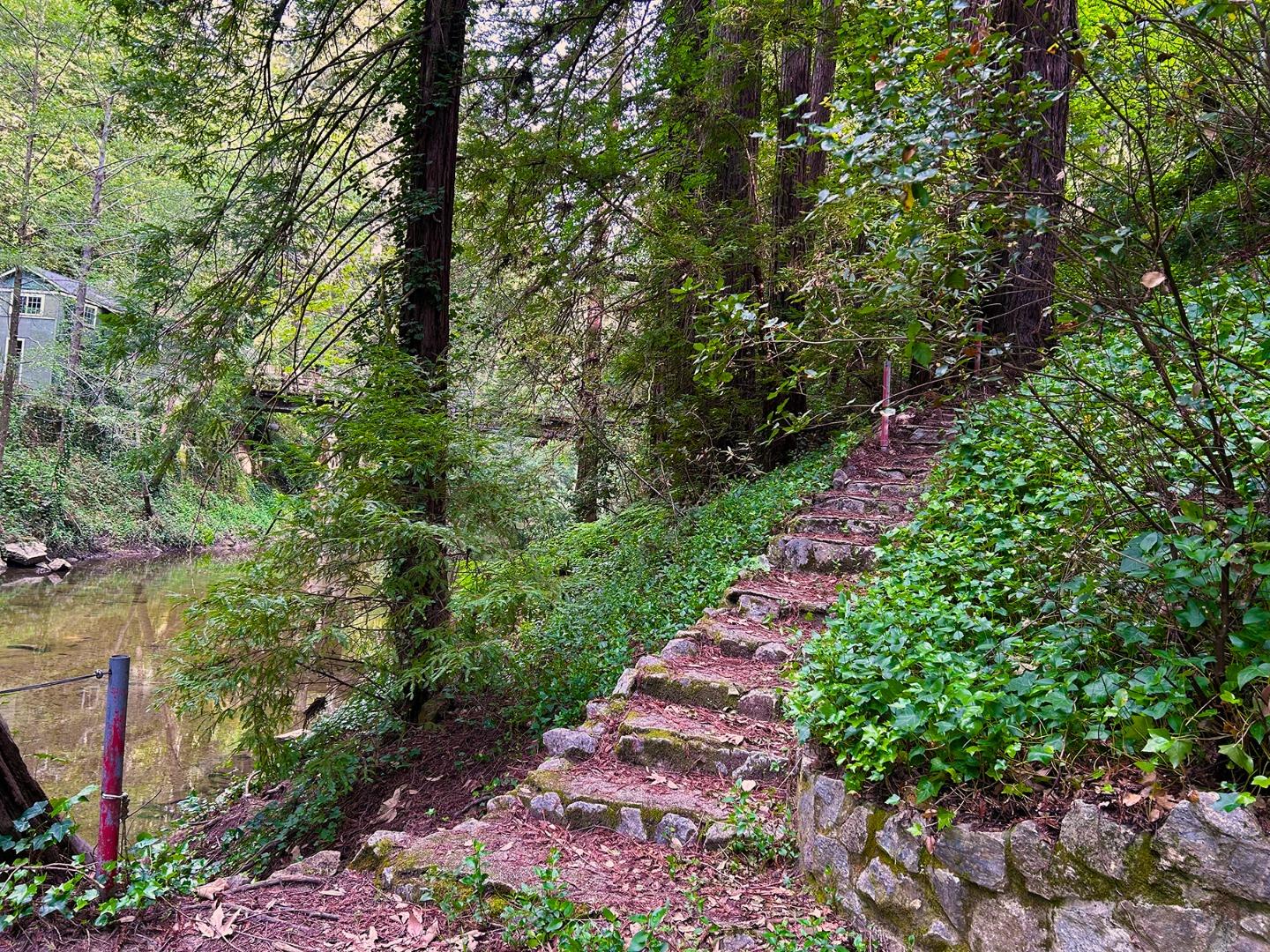 Front Image Thumbnail for ML82039857