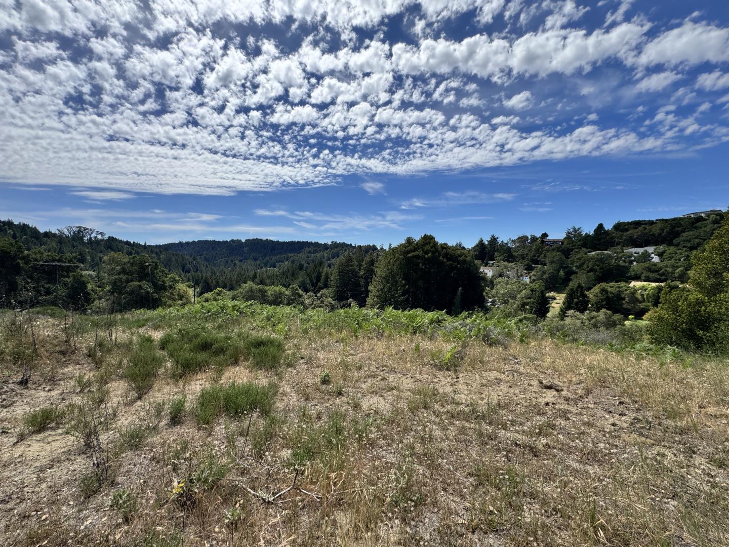 Front Image Thumbnail for ML82043586