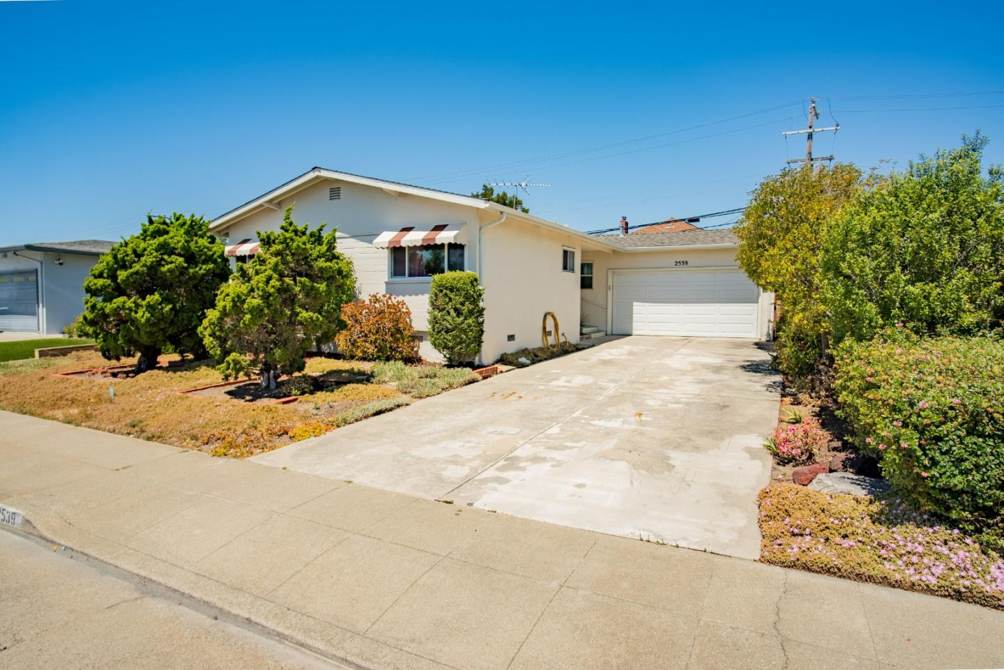 Front Image Thumbnail for ML82054175