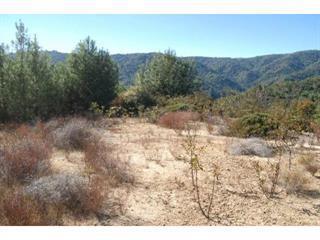 Front Image Thumbnail for ML82059373