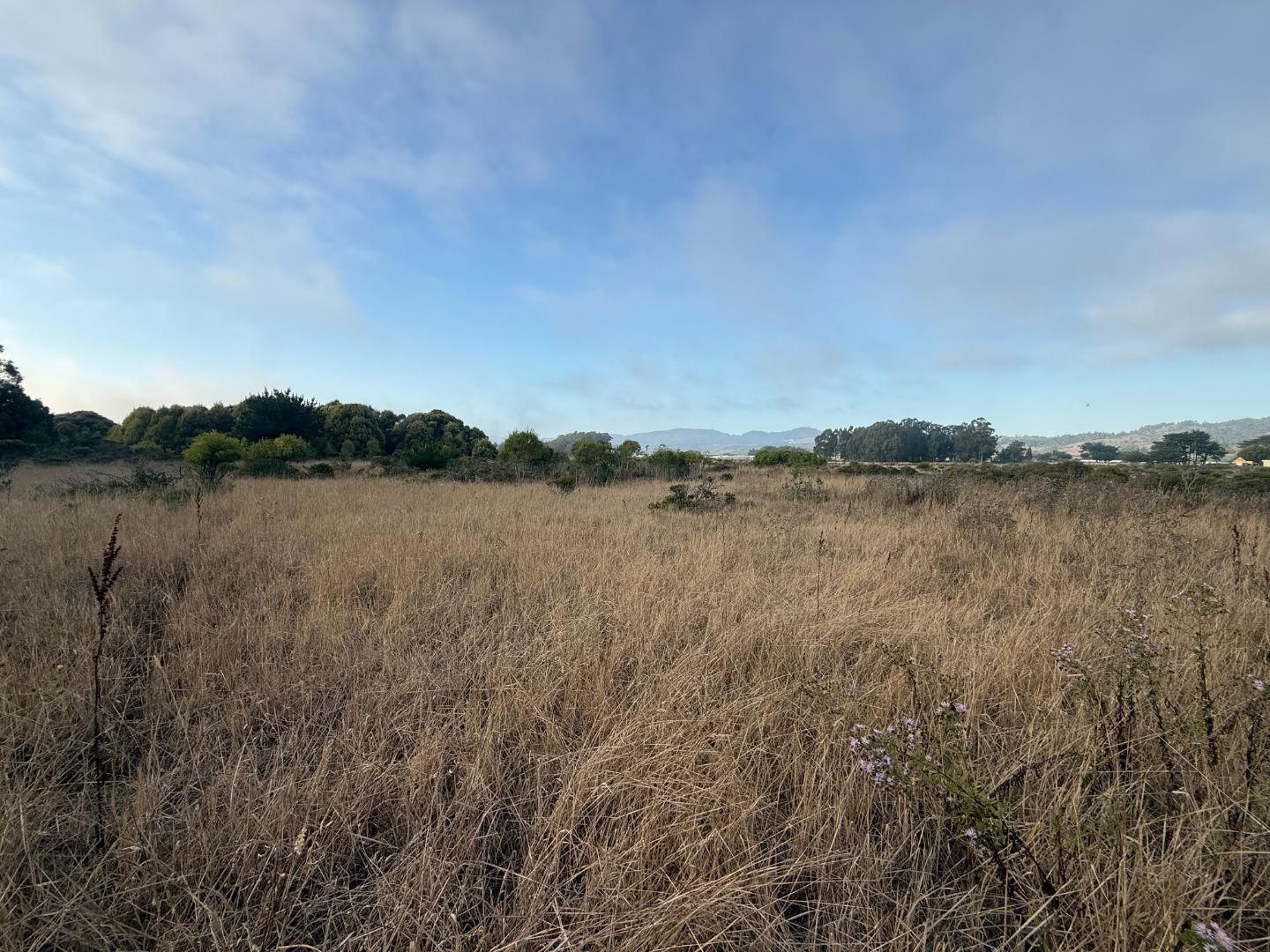 Front Image Thumbnail for ML82064450