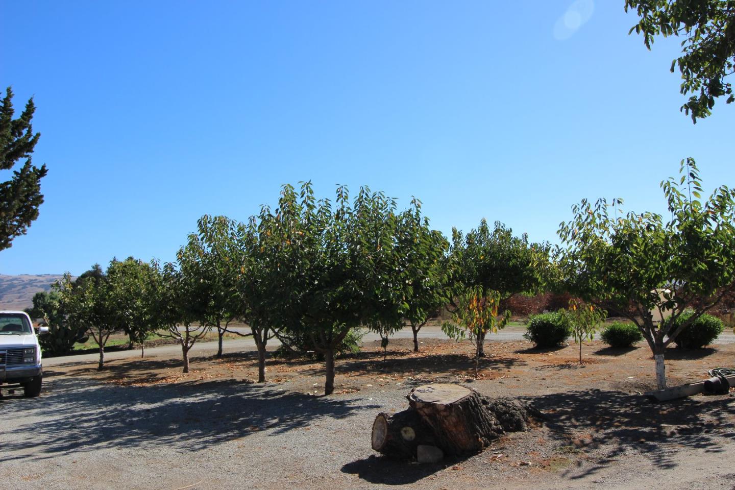 Front Image Thumbnail for ML81613619